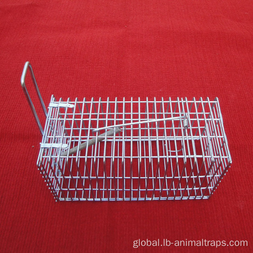 Small Animal Trap Cage Rodent Rat Trap mouse trap cage for house Factory